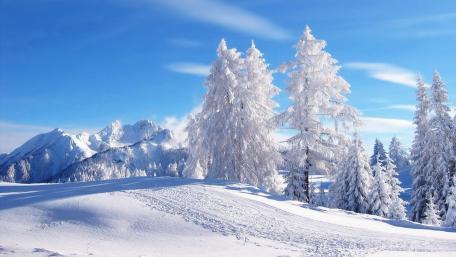 Winter Wonderland with Snow-Covered Trees and Mountains wallpaper