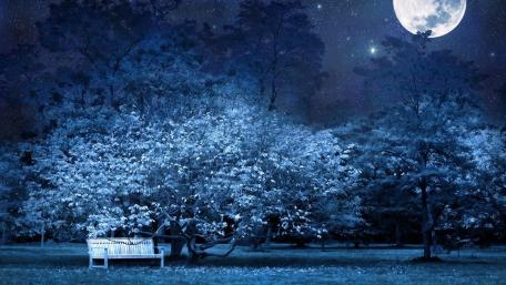 Serenity Under the Starry Night Sky wallpaper