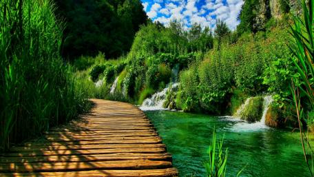 Serenity in Nature's Embrace wallpaper