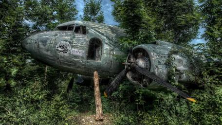 Abandoned aircraft wreck in the forest wallpaper