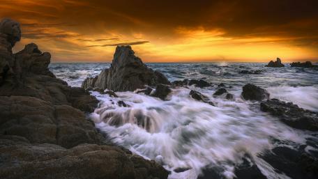 Golden Horizon by the Sea wallpaper