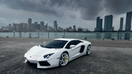 White Lamborghini Aventador wallpaper