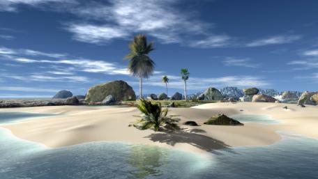 Tropical Serenity by the Shore wallpaper