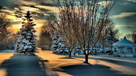 Winter's Evening Glow in Nature's Embrace wallpaper