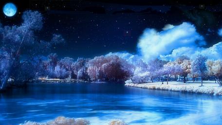 Winter's Moonlit Enchantment wallpaper