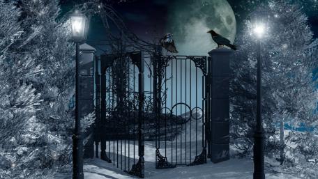 Enchanted Winter Night Under the Full Moon wallpaper