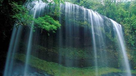 Majestic Waterfall Cascading Through Lush Greenery wallpaper