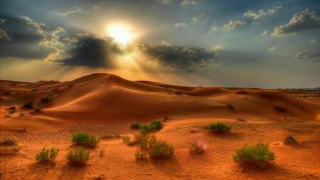 Desert Sunlight and Tranquil Dunes wallpaper