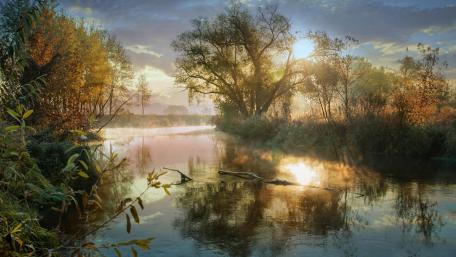 Serene Dawn Over Misty Wetlands wallpaper