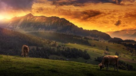 Highland Serenity at Dawn's Break wallpaper
