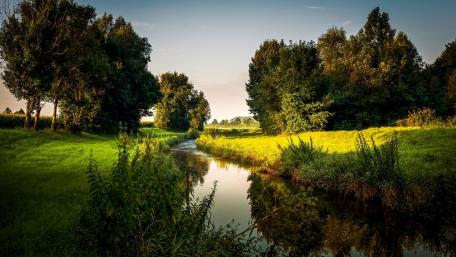 Serene Reflection in Nature's Paradise wallpaper