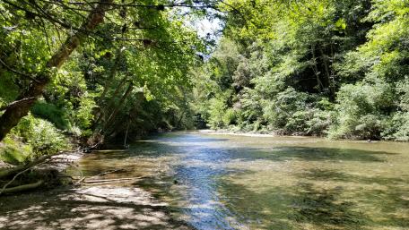 Felton creek wallpaper