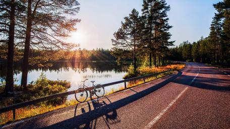 Sunlit Autumn Pathway by the Lake wallpaper