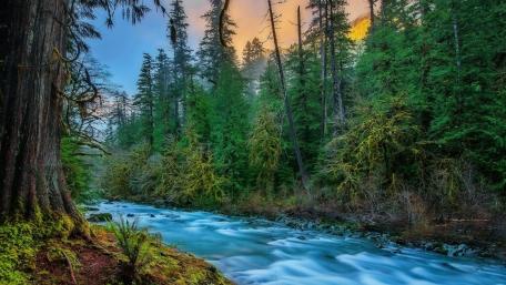 Skykomish River (Washington) wallpaper
