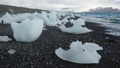 Frozen Beauty on the Shoreline wallpaper