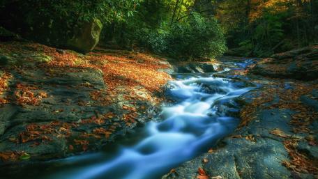 Serene Autumn Stream Enveloped in Leaves wallpaper