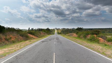 A Beautiful Road into the Forest wallpaper