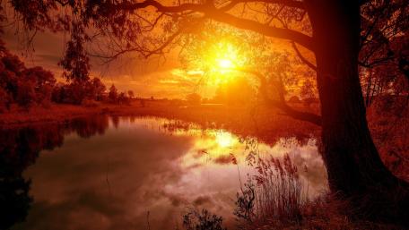 Golden Sunset Over Serene Lake wallpaper