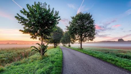 Morning mist in countryside wallpaper