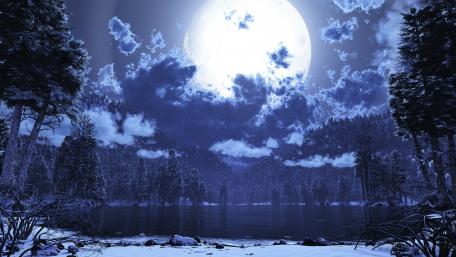 Enchanting Winter Moonlight Scene wallpaper
