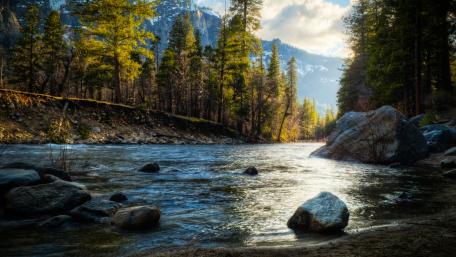 Tranquil River Amidst Majestic Wilderness wallpaper