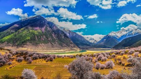 Brahmaputra Grand Canyon in spring wallpaper