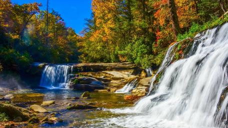 Autumn Waterfall in a Serene Reserve wallpaper