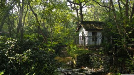 Woodland Cottage Retreat in 4K wallpaper