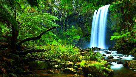 Hopetoun Falls wallpaper