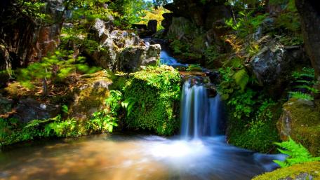 Tranquil Waterfall in a Lush Paradise wallpaper