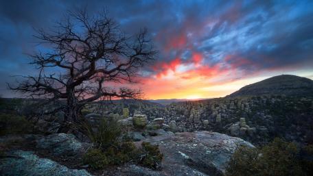 Stunning Sunset with a Lone Tree Amidst Mountains wallpaper