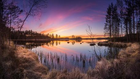 Serene Dawn Over a Tranquil Lake wallpaper