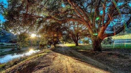 Pathway at Malibu Creek State Park wallpaper