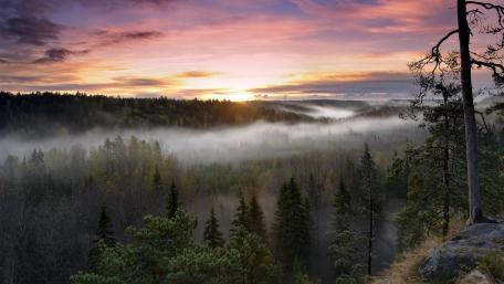 Nuuksio National Park wallpaper