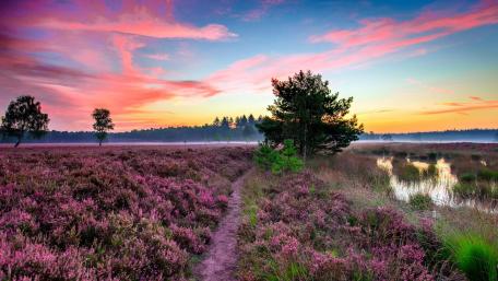 Early morning before sunrise wallpaper