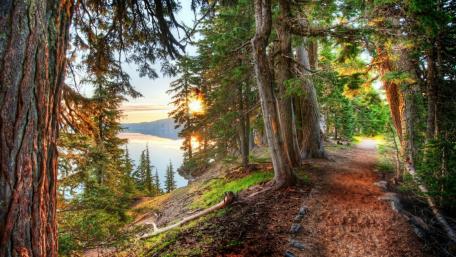 Path around Crater Lake wallpaper