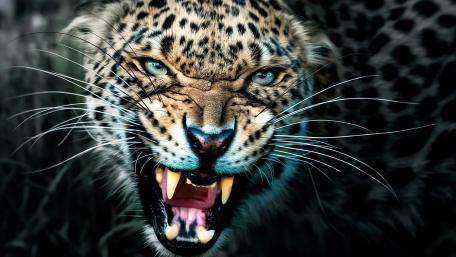 Raring Leopard wallpaper