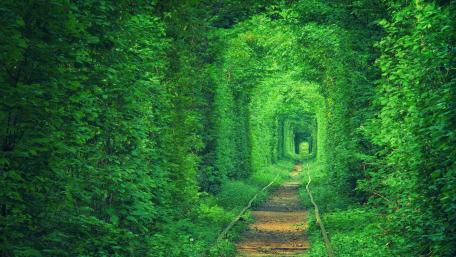 Tunnel of Love (Tunel Kokhannya) wallpaper