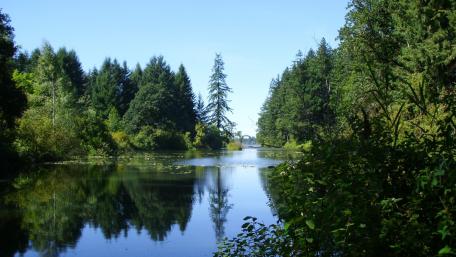 Lake Beyond the picnic table wallpaper
