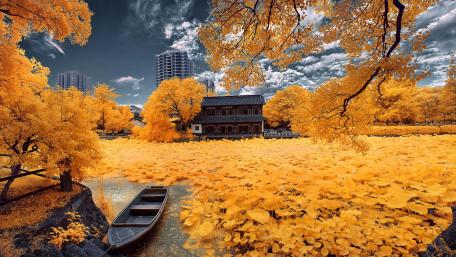 Late autumn wallpaper