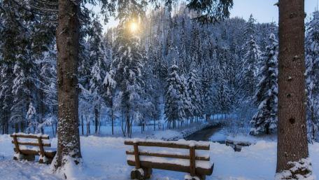 Serene Winter Wonderland Scene with Benches and Snowy Landscape wallpaper