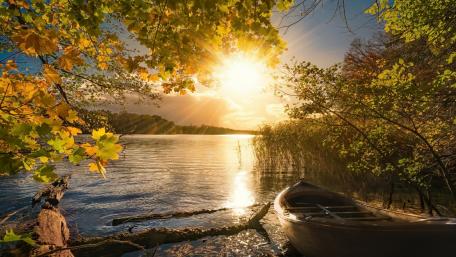 Golden Sunrise by the Serene Autumn Lake wallpaper