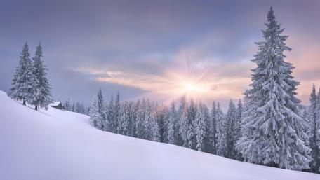 Beautiful winter landscape wallpaper