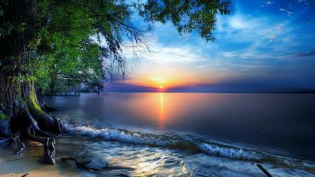 Sunrise Serenity by the Shoreline wallpaper