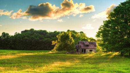 Abandoned house wallpaper