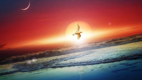 Sun and Moon wallpaper