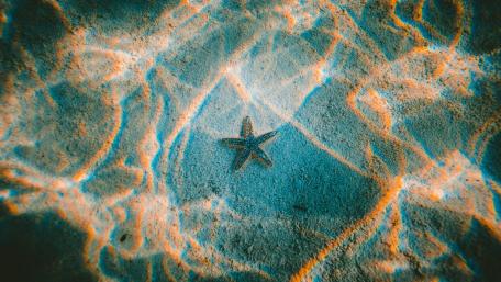 Water Seestar wallpaper