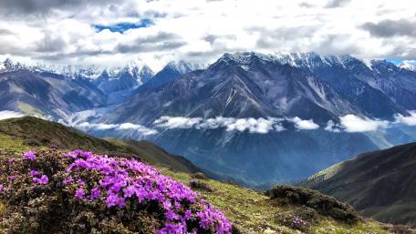 Mount Gongga (Minya Konka) at spring wallpaper