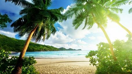 Tropical Paradise Awaits You In Summer Sunshine wallpaper
