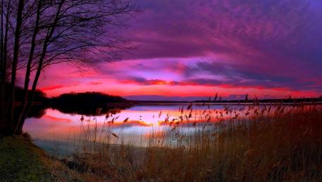 Purple Sunset Over Serene Wetland Lake wallpaper
